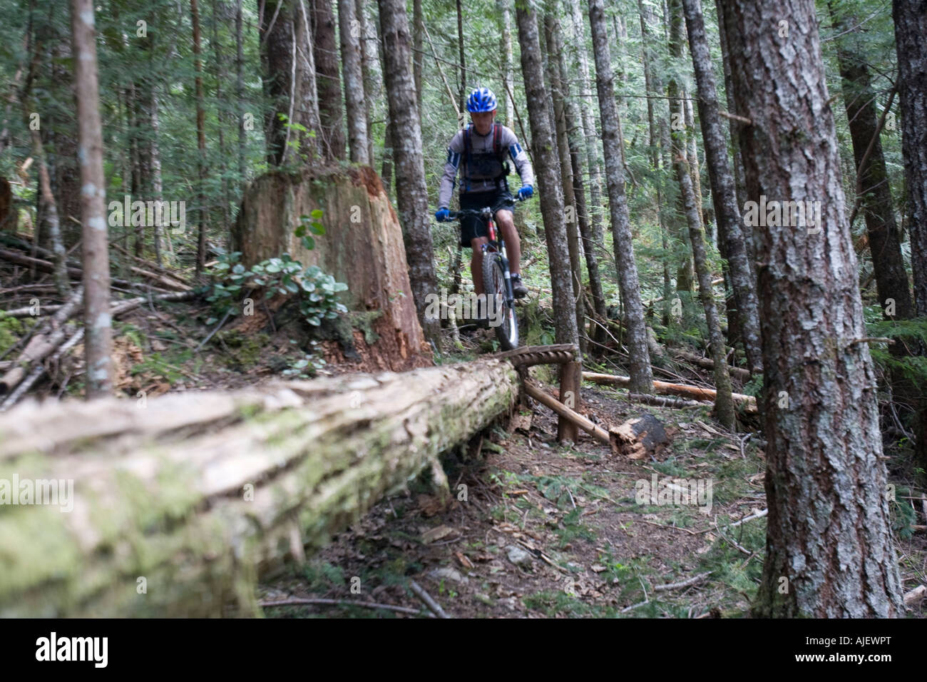 Mountain Biking in Squamish, BC