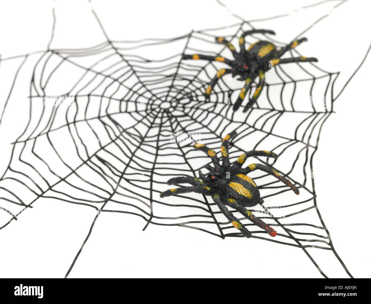 fake spider toy