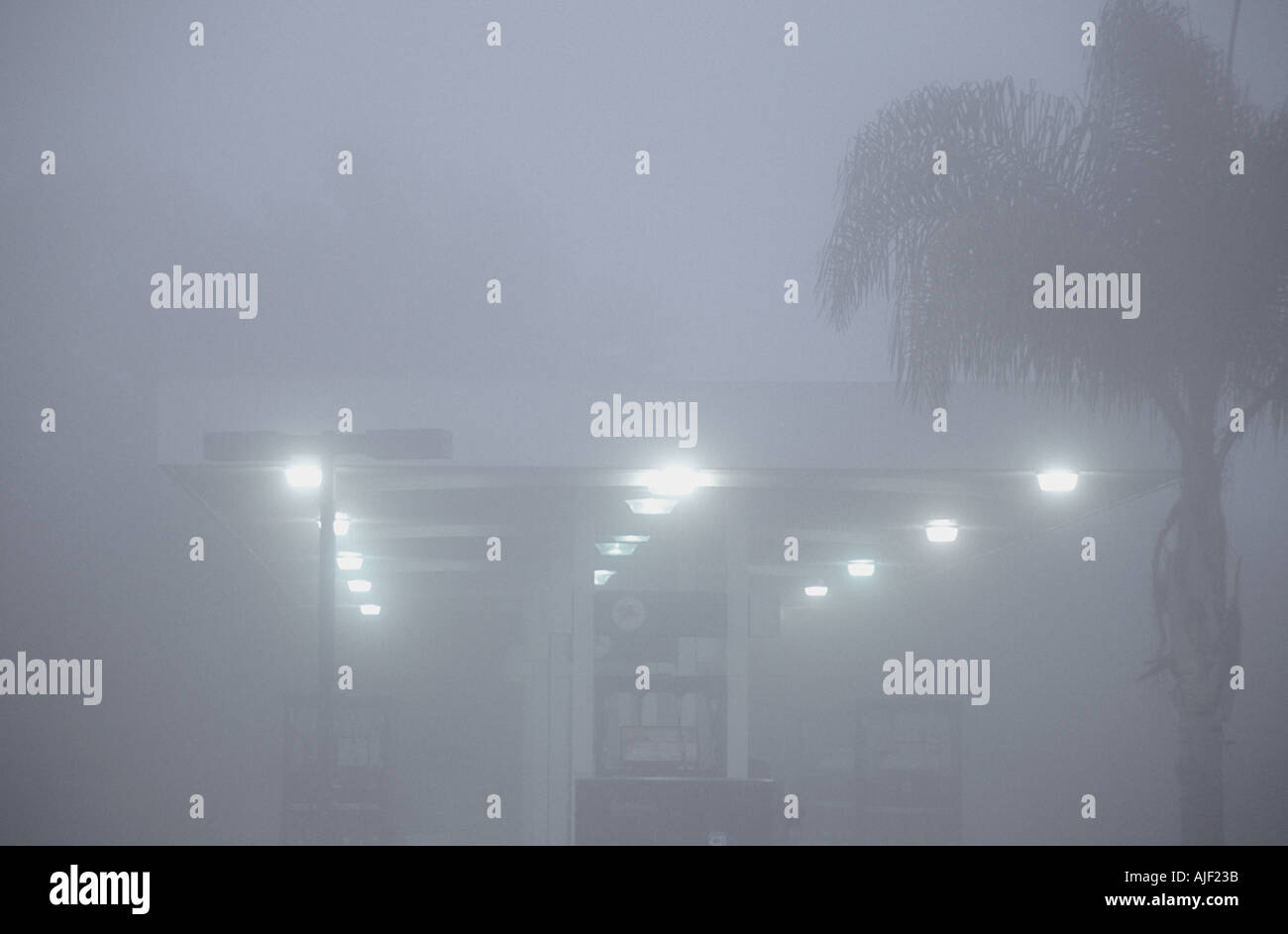 FORG STOCK NEWS visual data 5