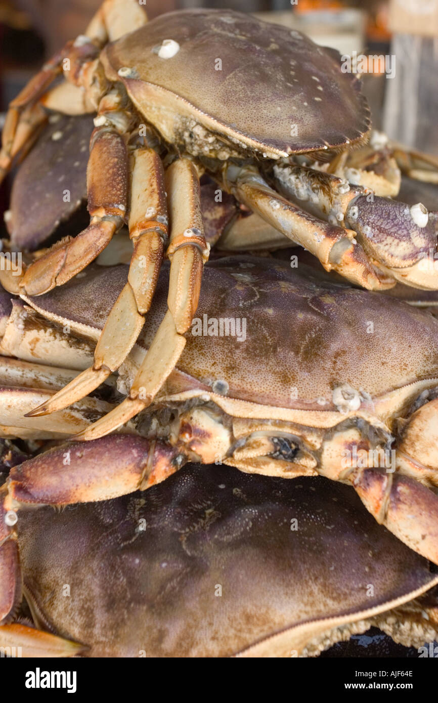 Stacked crabs Fishermans Wharf San Francisco California Stock Photo Alamy