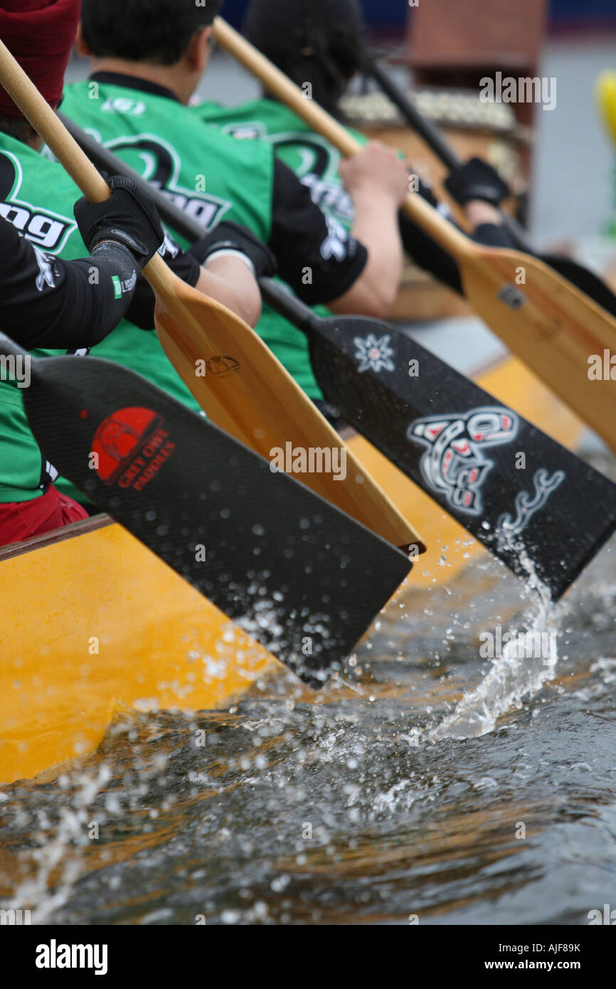 dragon boat team working together padding in unison Stock Photo