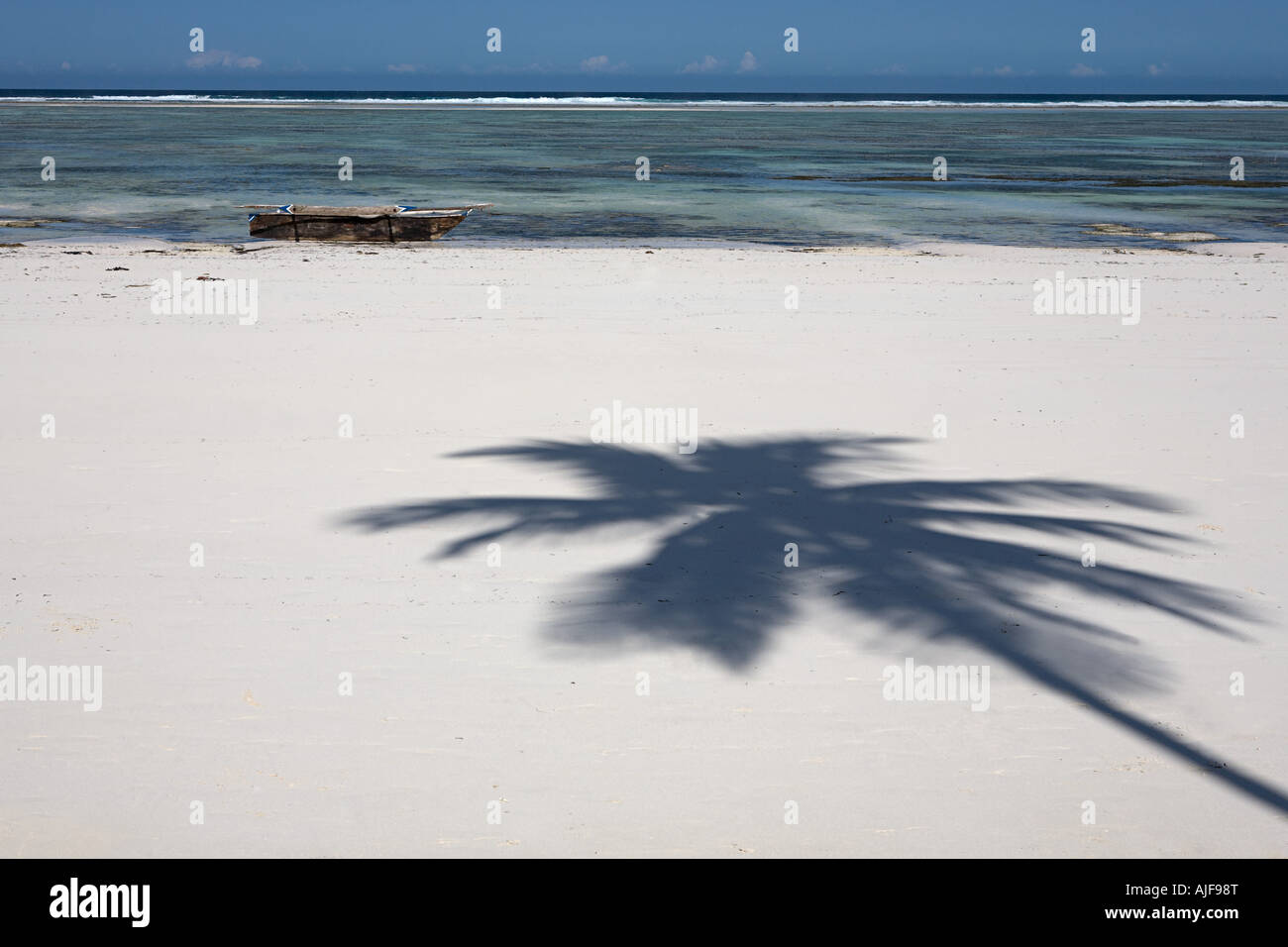 Shadow of a palm tree on a beach Stock Photo