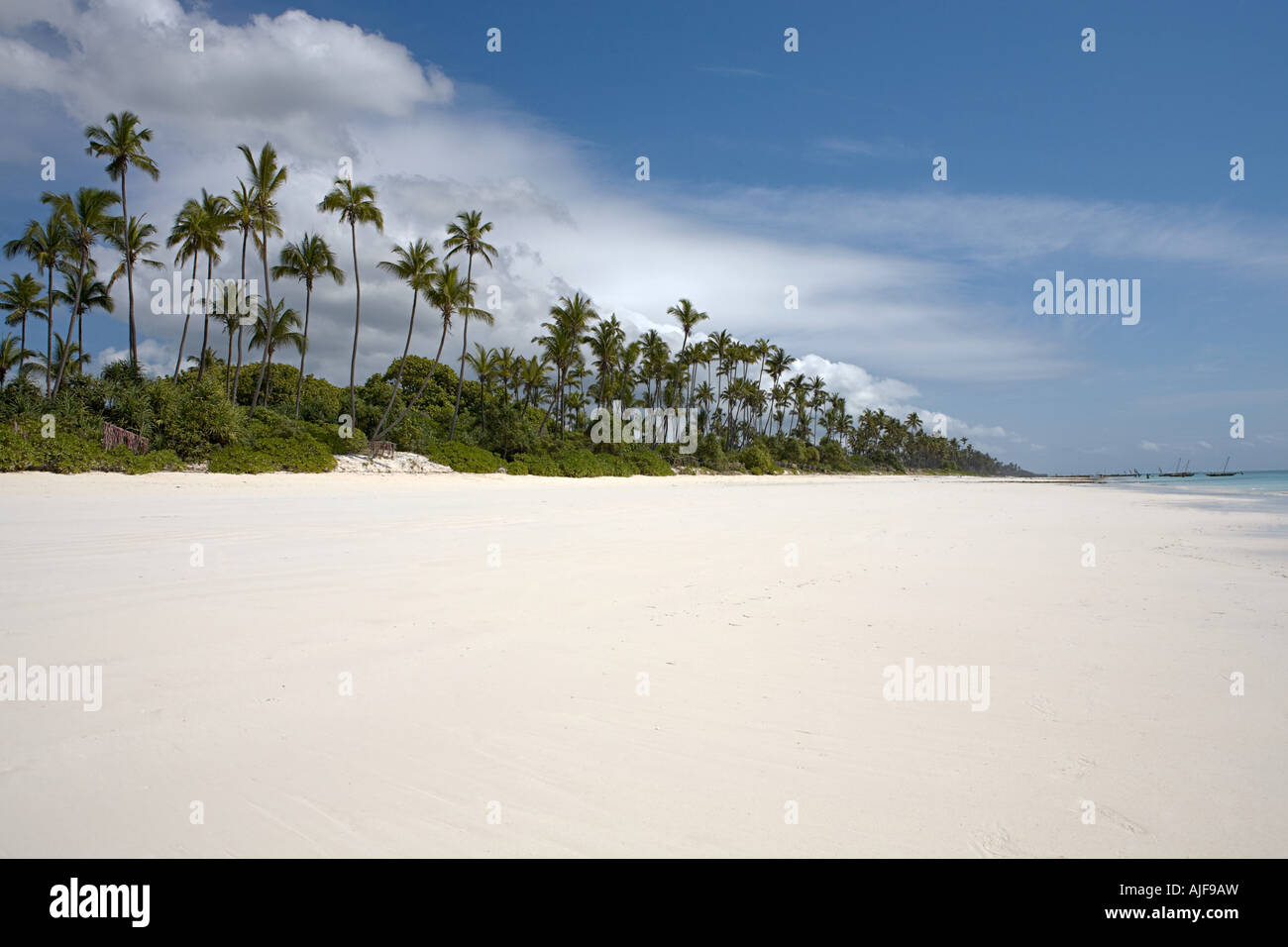 Paradise beach Stock Photo