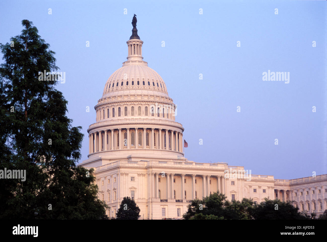 U.S. Capitol building in Washington D.C. Stock Photo