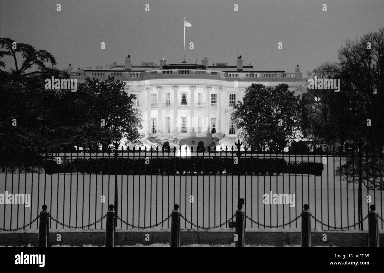 The White House in Washington D.C. Stock Photo