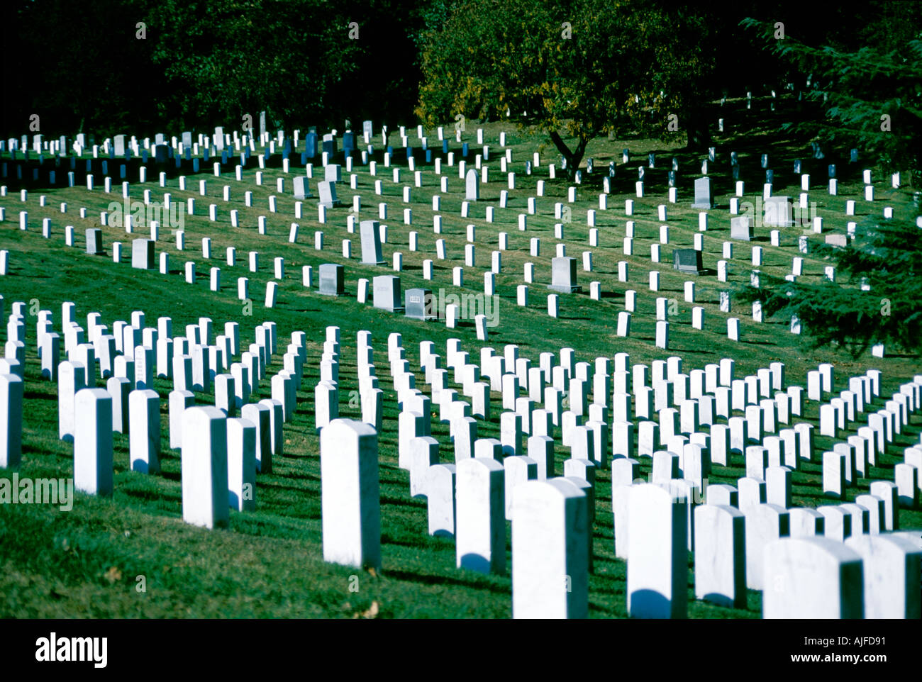 Arlington National Cemetery, Arlington Virginia Stock Photo