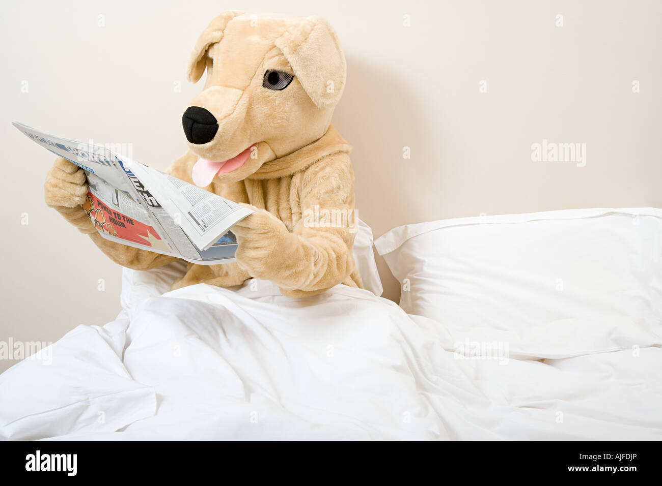 Person in dog costume reading newspaper Stock Photo