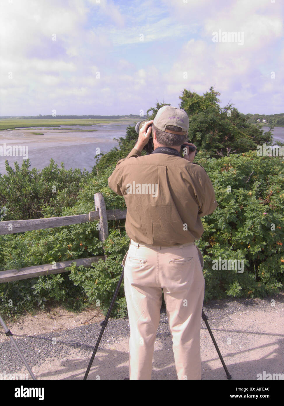 Massachusetts Cape Cod National Seashore man bird watching looking