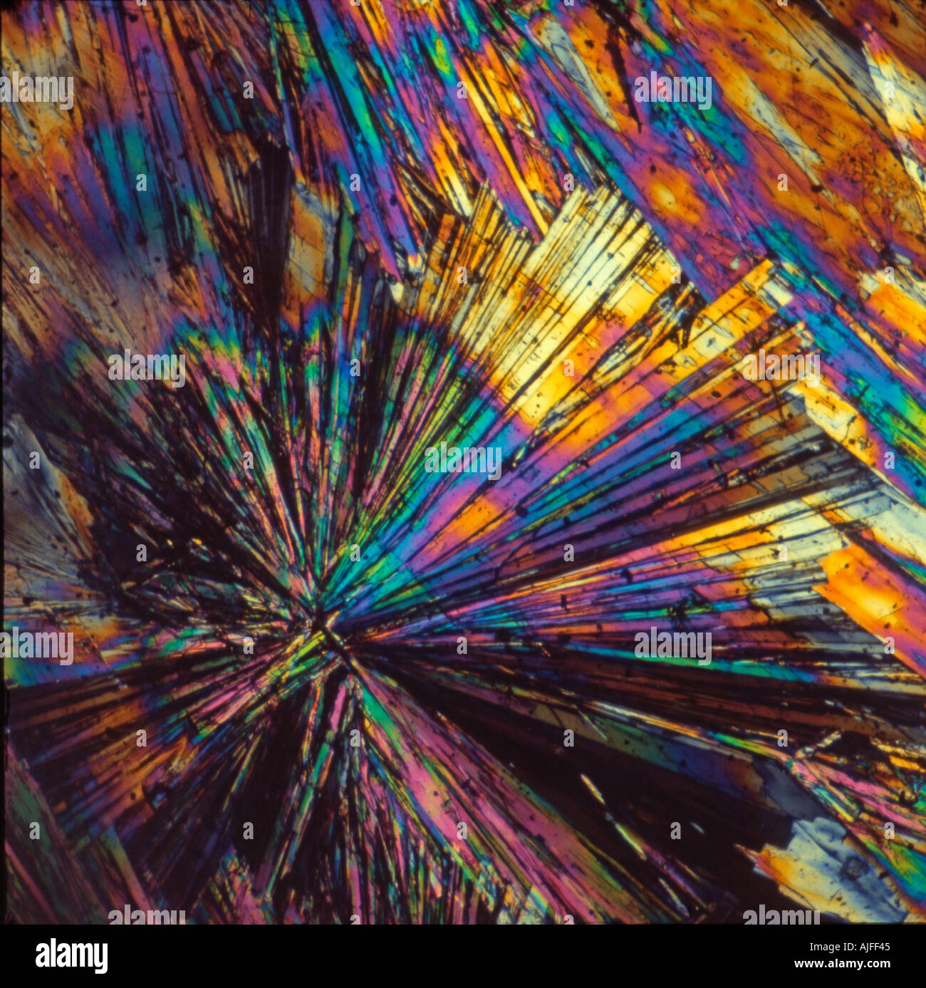 Vitamin B crystals in polarised light Stock Photo