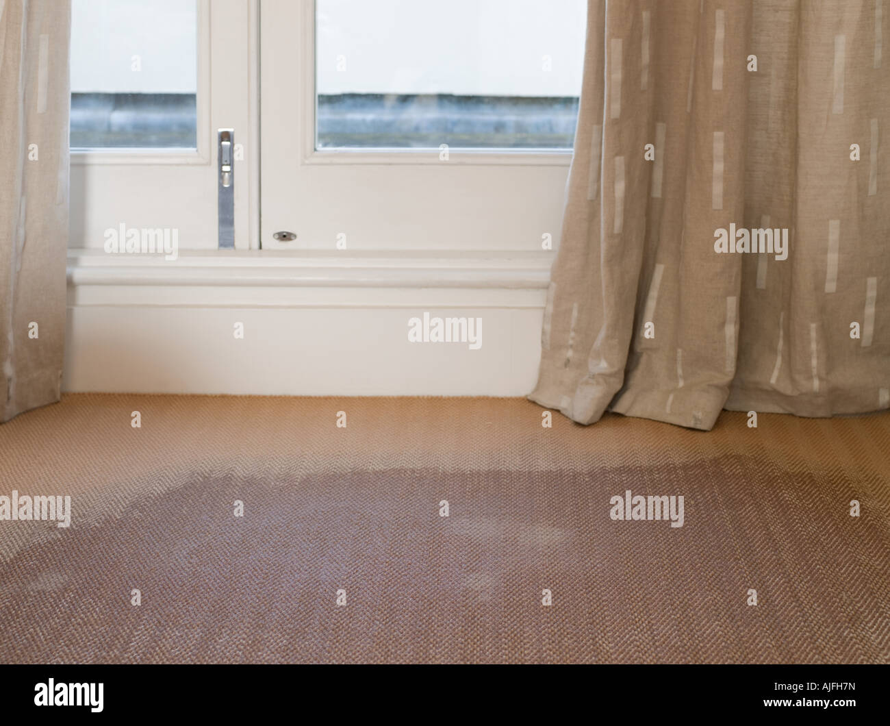 A wet carpet Stock Photo Alamy
