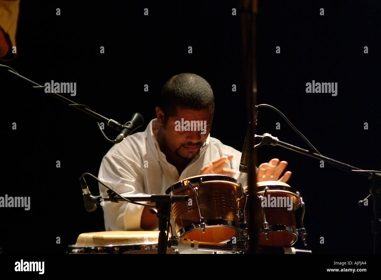 Gilberto noriega toto cuban percussionist hires stock photography and