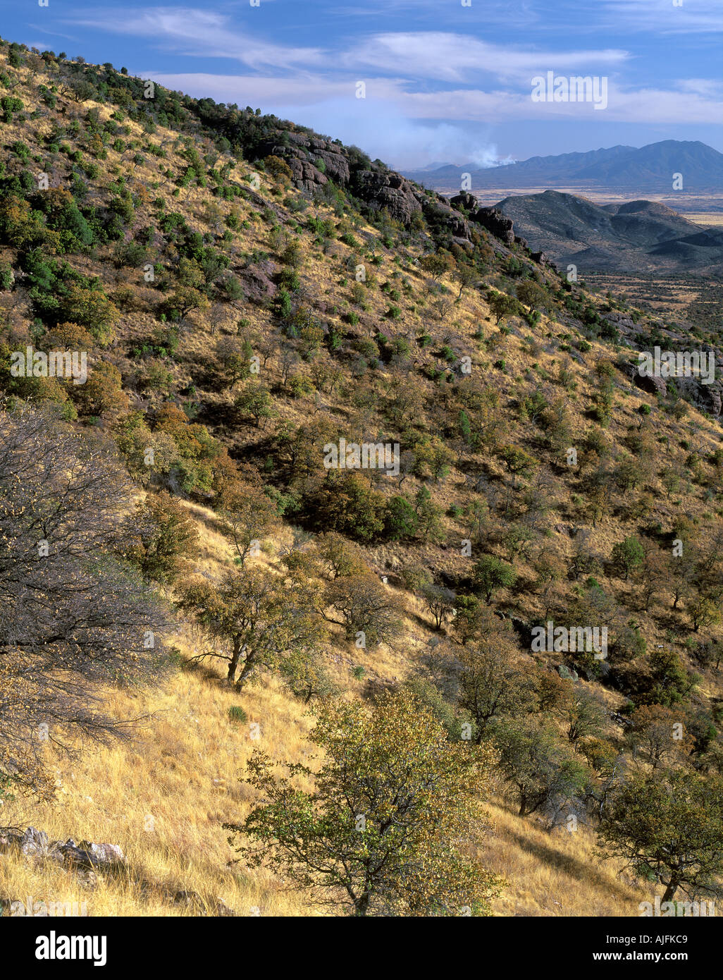 Coronado National Forest Arizona Stock Photo