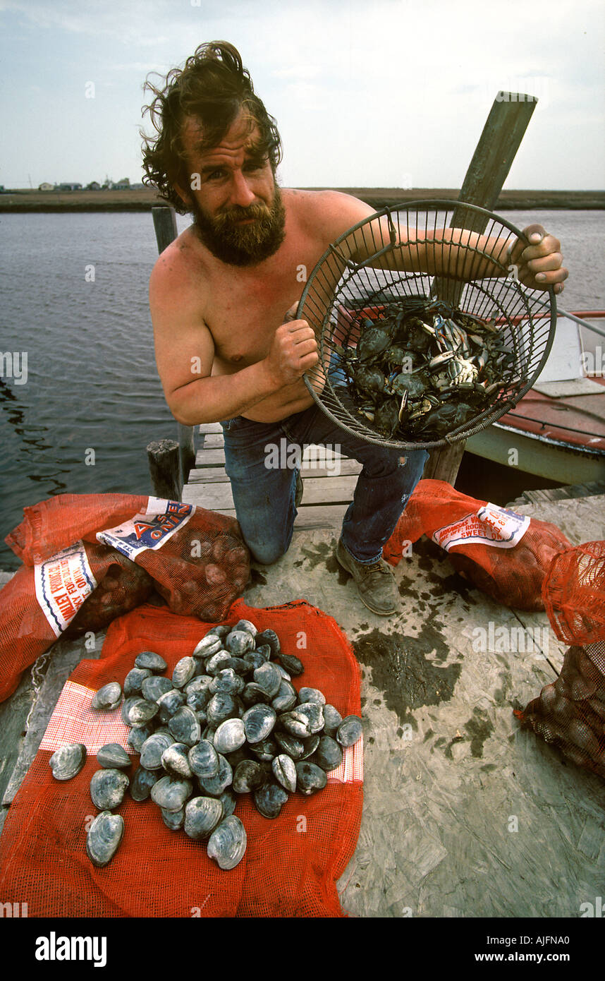 Sea Harvest of Cherrystone Clams Blue Crabs New Jersey Shore Stock Photo