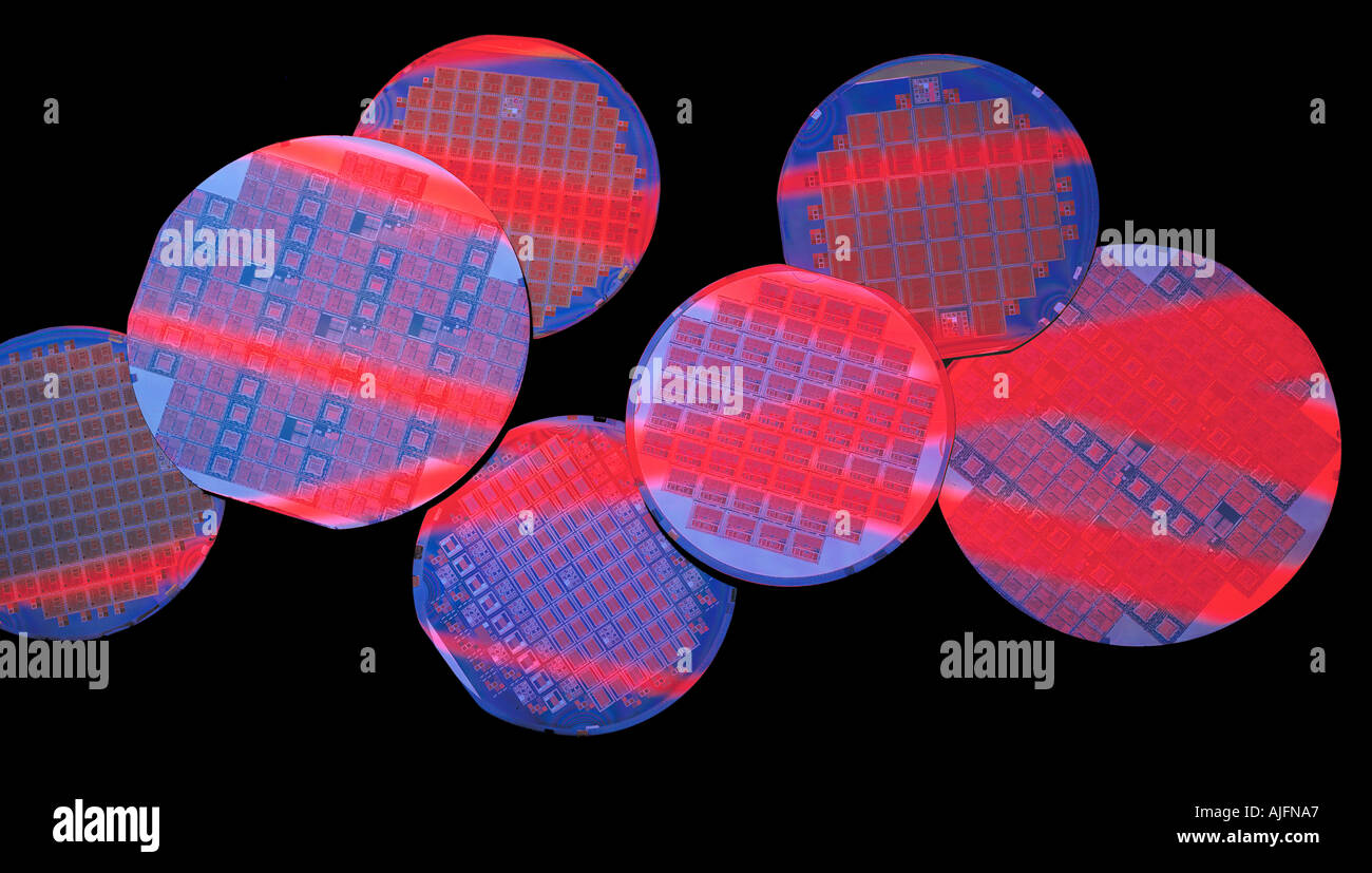Silicon Wafers with Computer Circuits Stock Photo