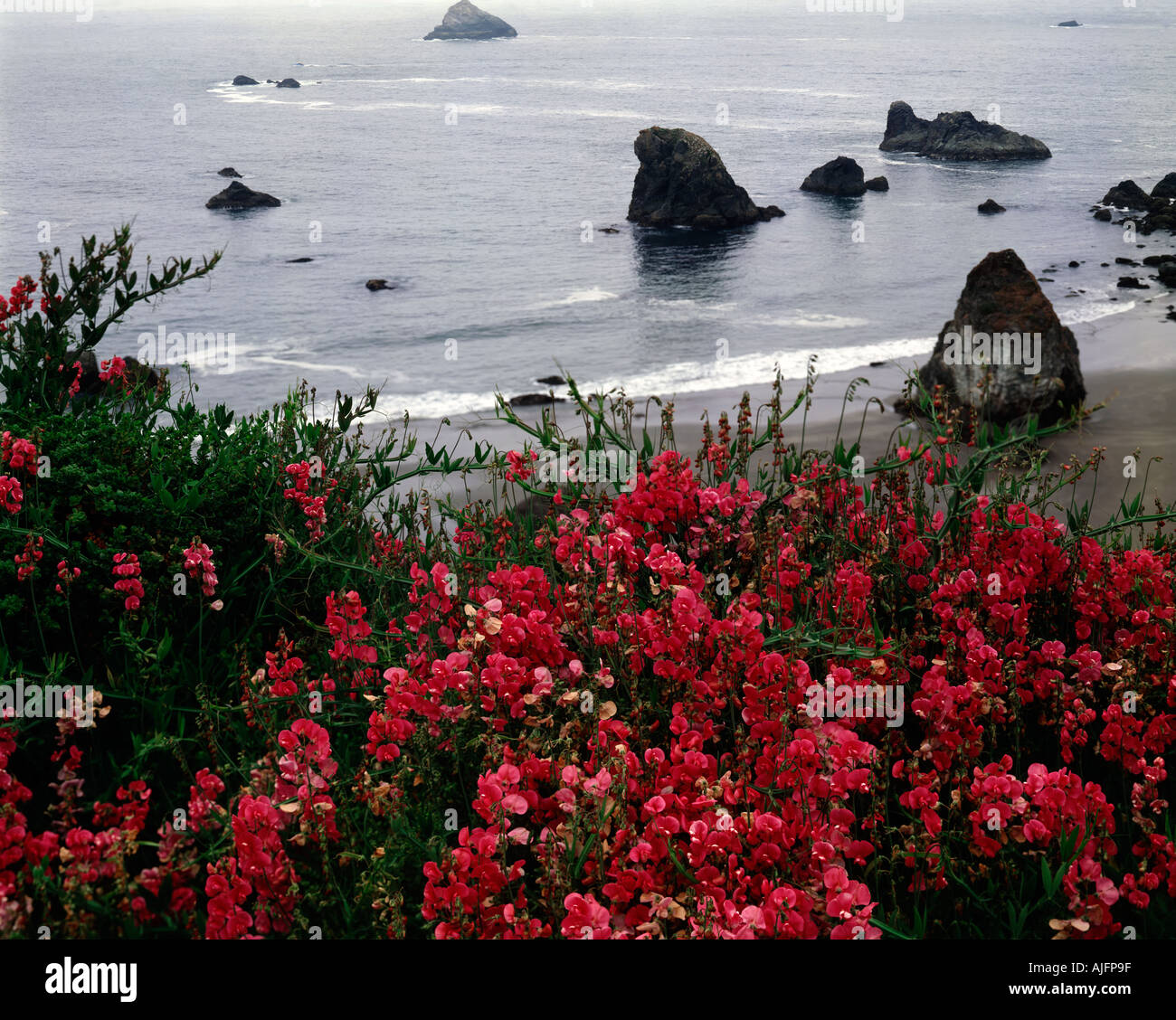 Overhanging floral display hi-res stock photography and images - Alamy