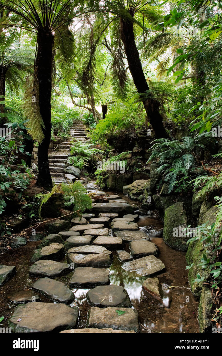 Pathway at the Kirstenbosch National Botanical Garden Western Cape Province South Africa Stock Photo