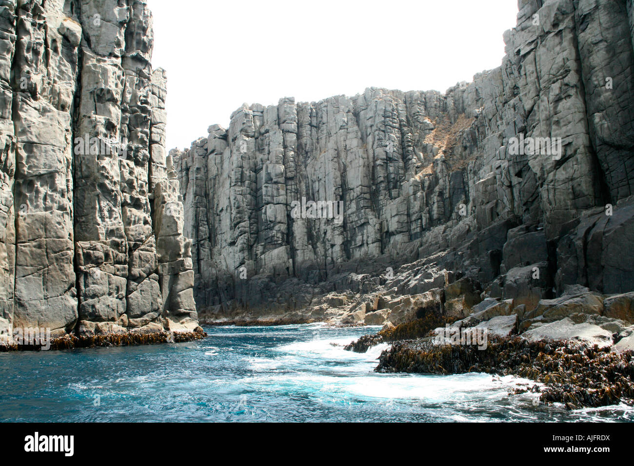 Cape pillar tasmania hi-res stock photography and images - Alamy