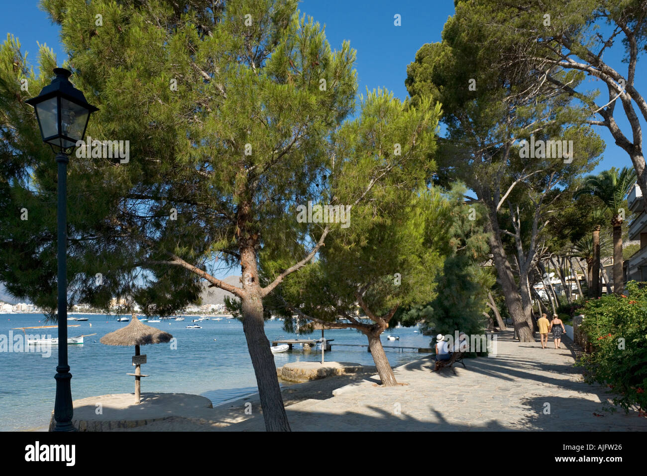 Puerto pollensa beach mallorca spain hi-res stock photography and images -  Page 2 - Alamy