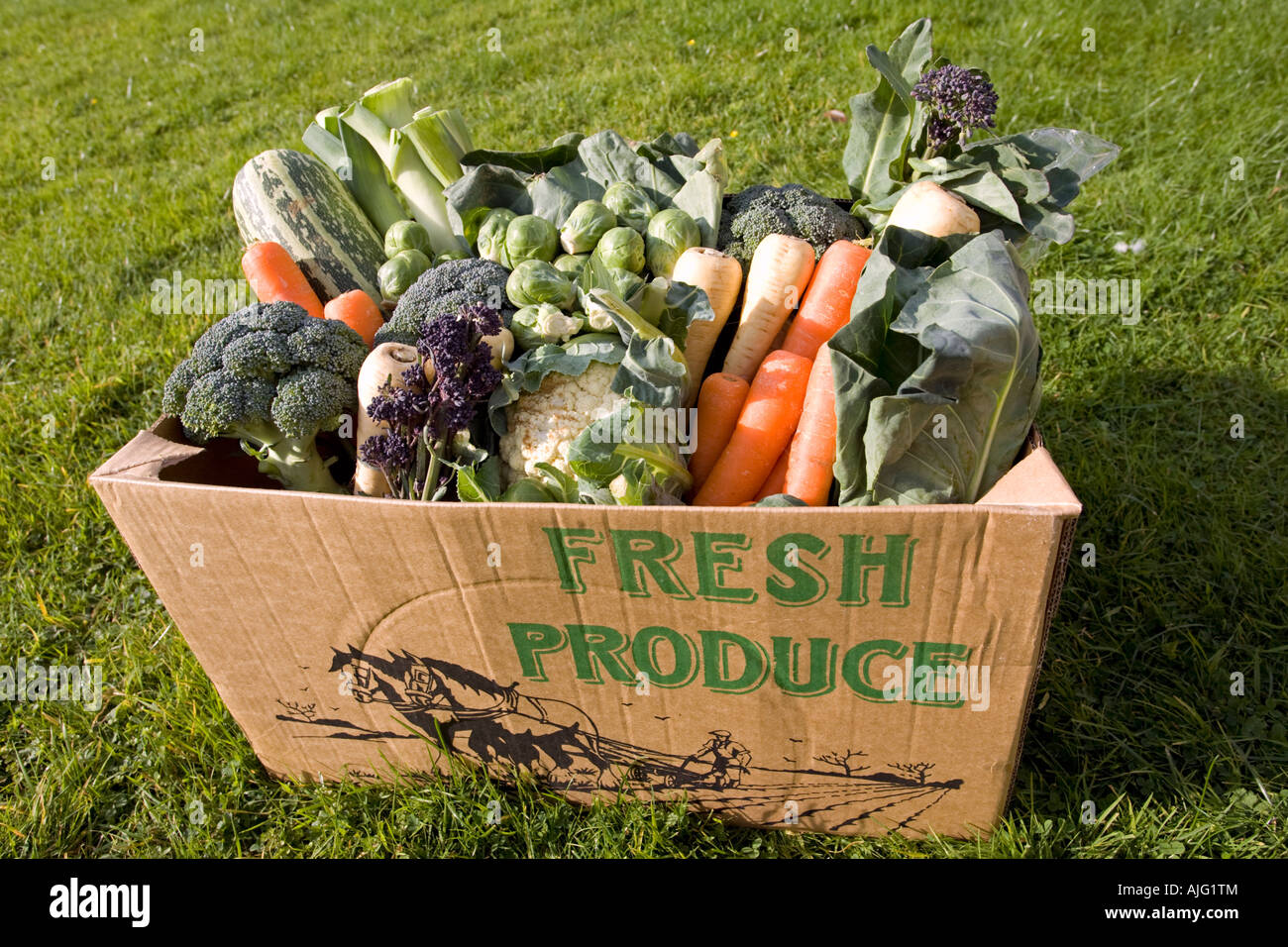 Cardboard box of fresh locally grown vegetables Cotswolds UK Stock