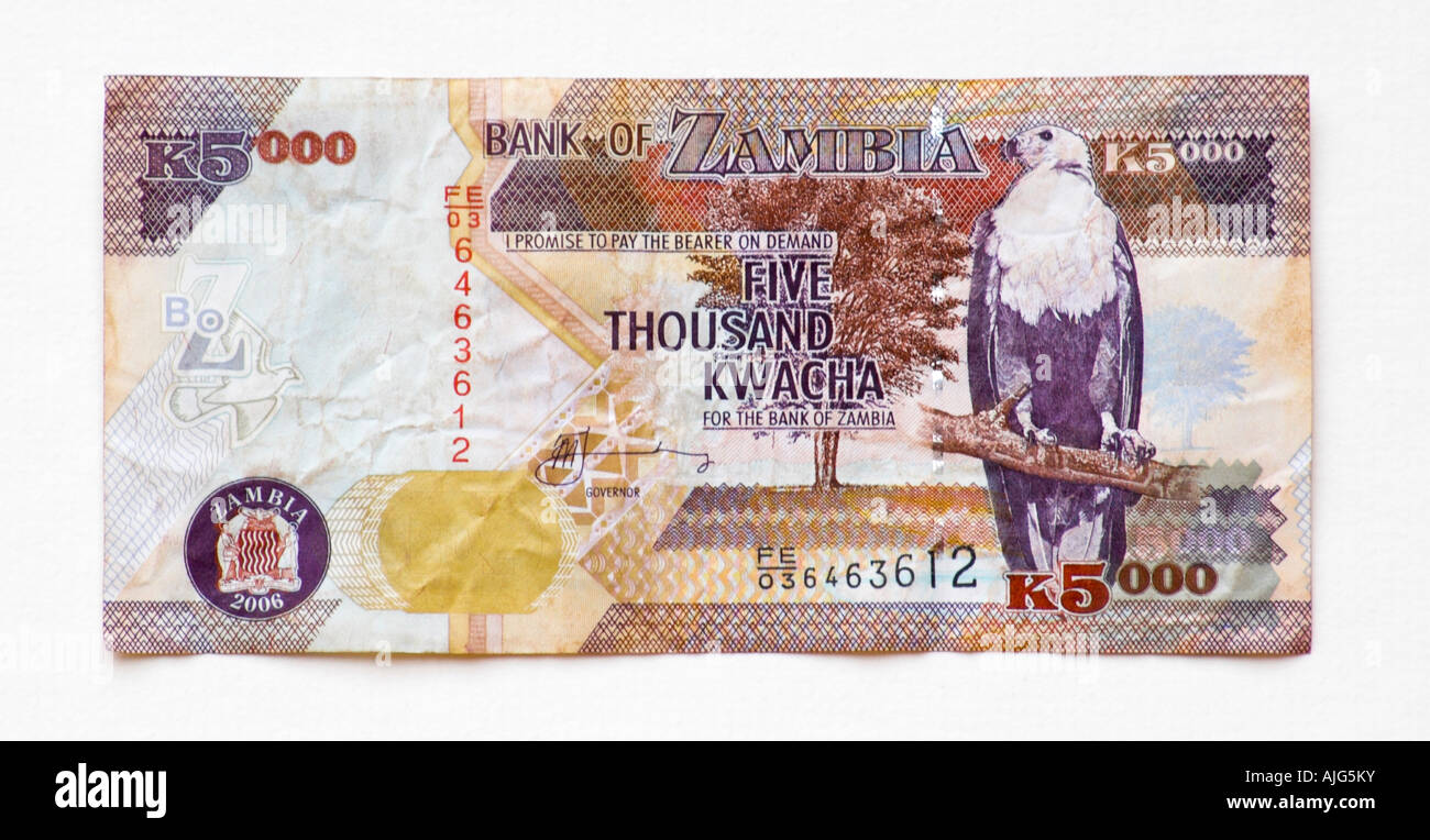 Zambia 5000 Kwacha bank note Stock Photo Alamy