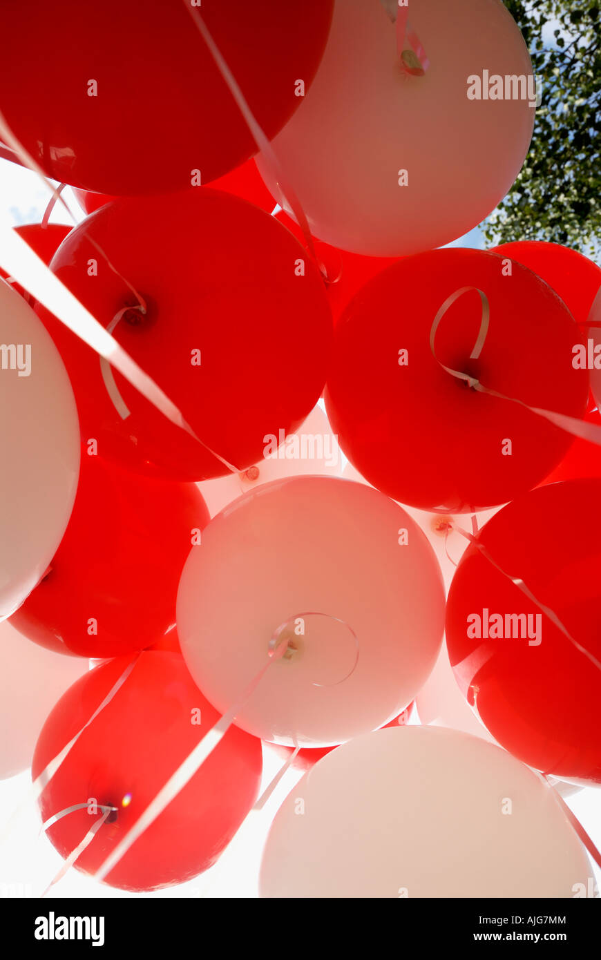 Red and White Balloons Stock Photo