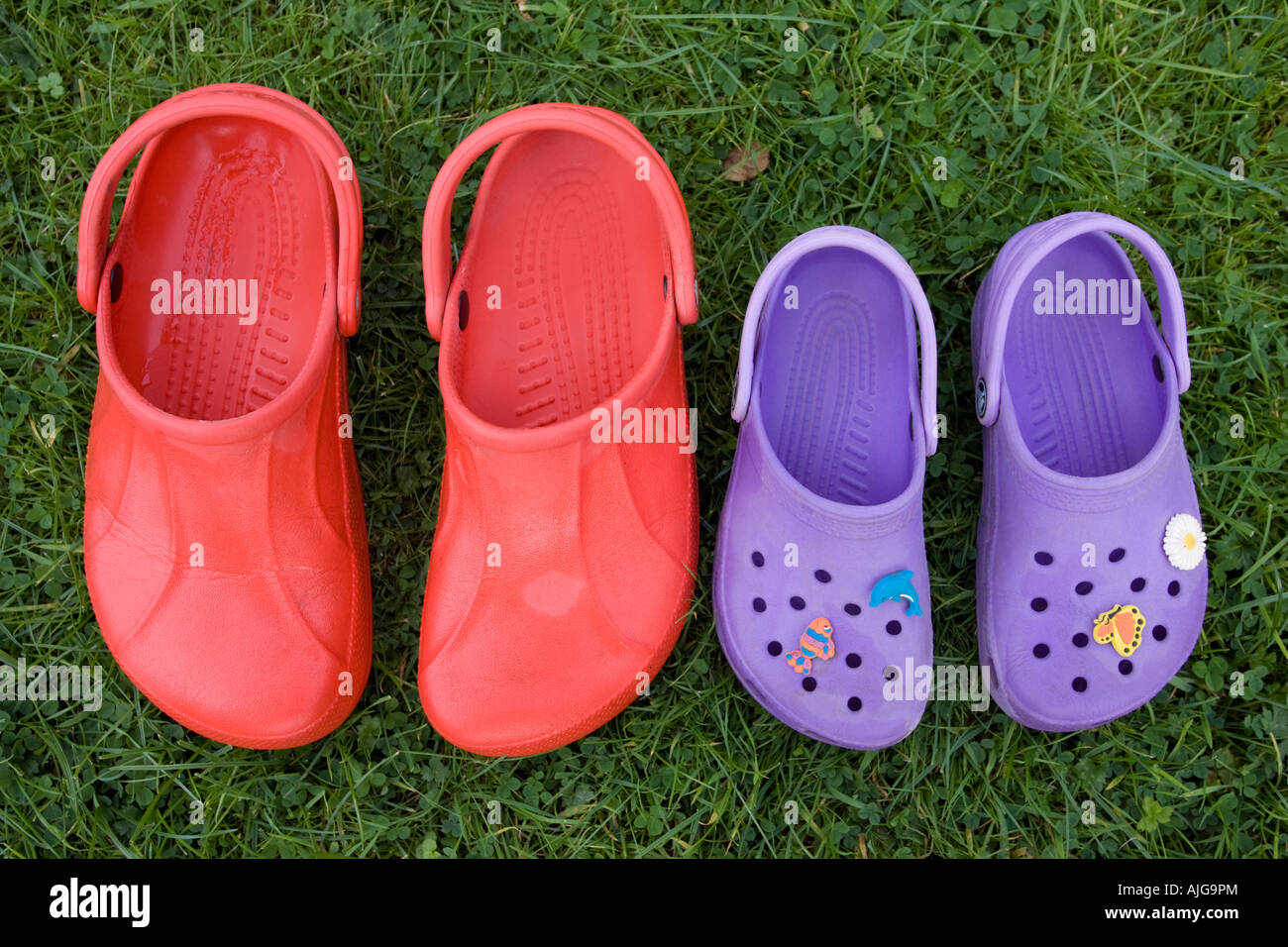 Croc sandals hi-res stock photography and images - Alamy