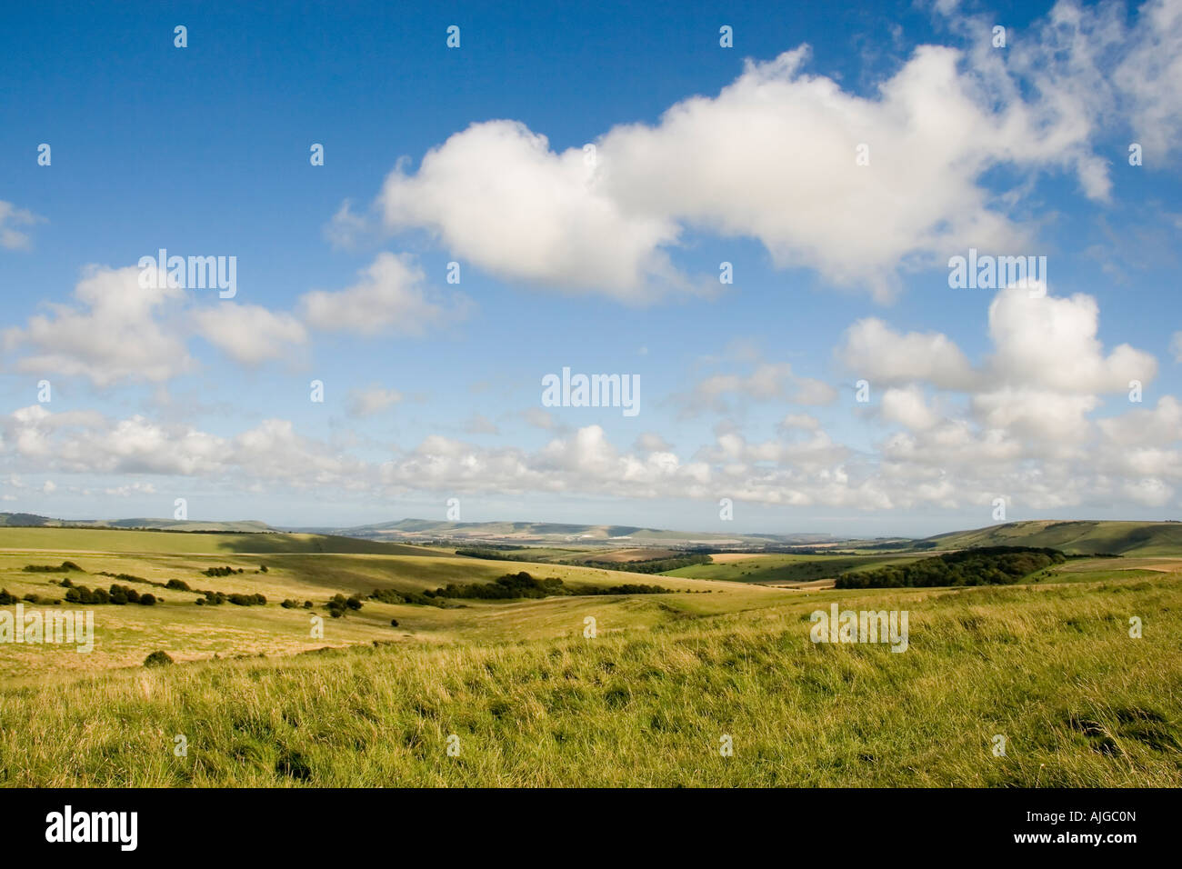 View in summer across the South Downs looking towards Firle Beacon Seaford Head and Kingston Ridge Stock Photo
