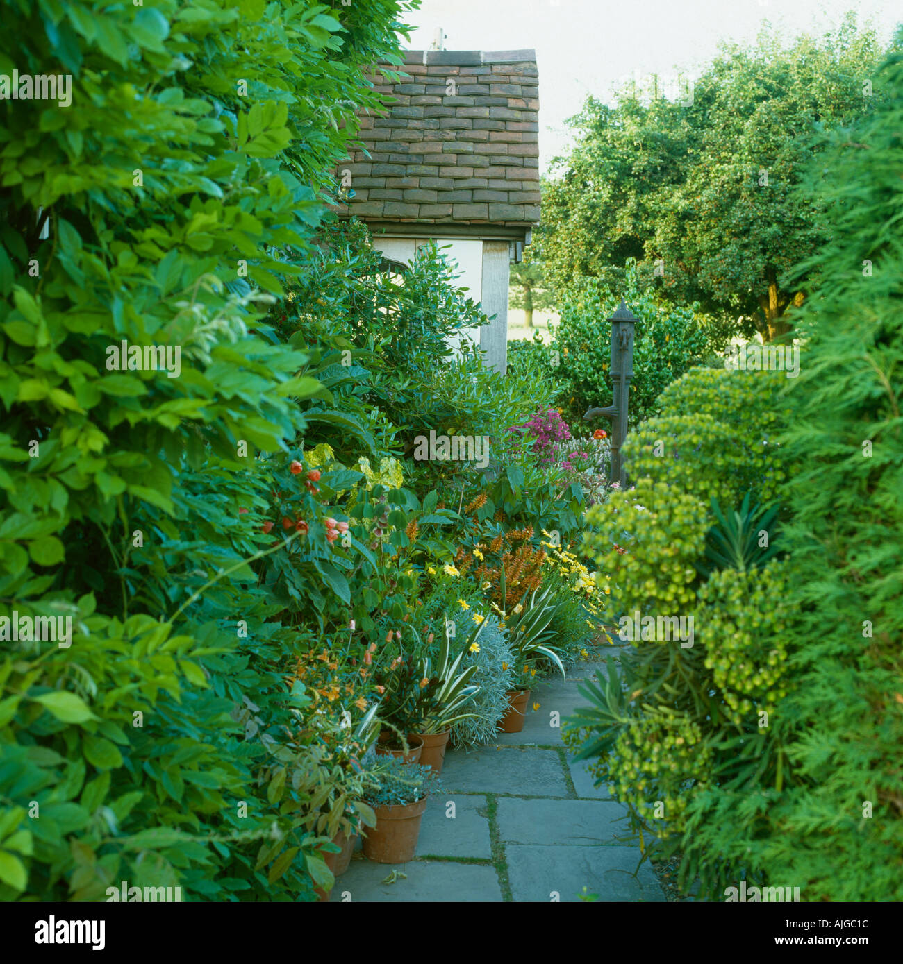 Herbaceous border path hi-res stock photography and images - Alamy