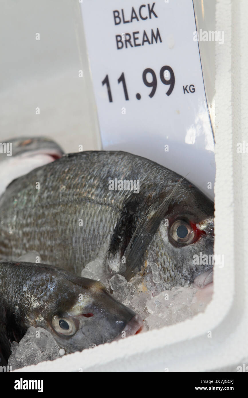 Fresh Black Bream fish for sale at market stall Stock Photo