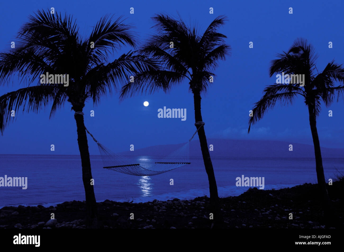 hivatalos beszállító legolcsóbb a legolcsóbb Full moon sets framed by palm trees and a hammock on the West side ... hivatalos beszállító legolcsóbb a legolcsóbb Full moon sets framed by palm trees and a hammock on the West side ...