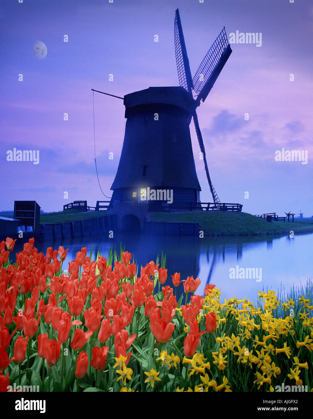 NL - NORTHERN HOLLAND:  Windmill at Schermerhorn Stock Photo