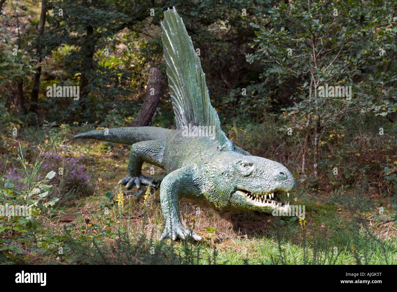 lifesize model dimetrodon an extinct predatory synapsid pelycosaur dimetrodon size