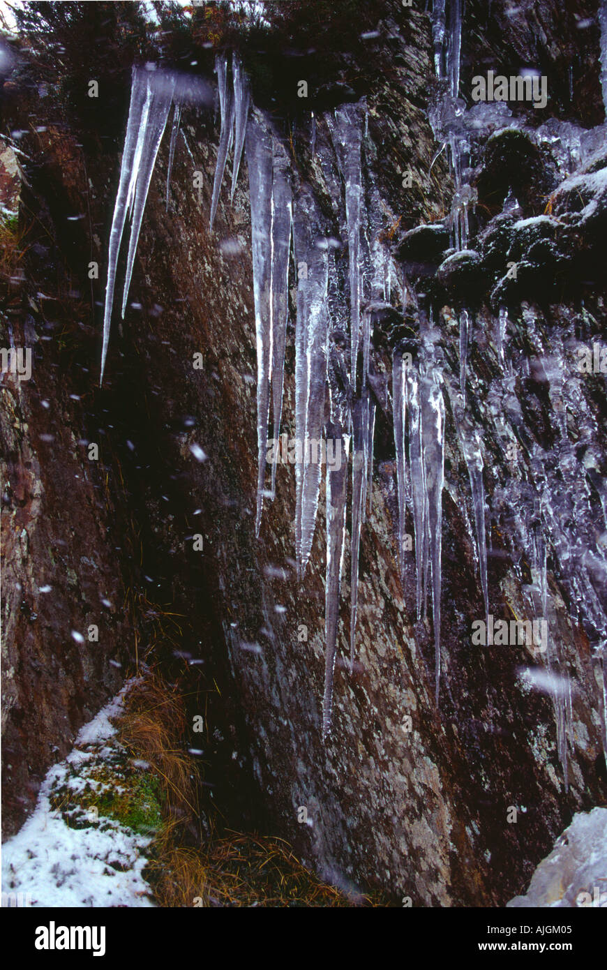 Icicles on Rocks UK Stock Photo