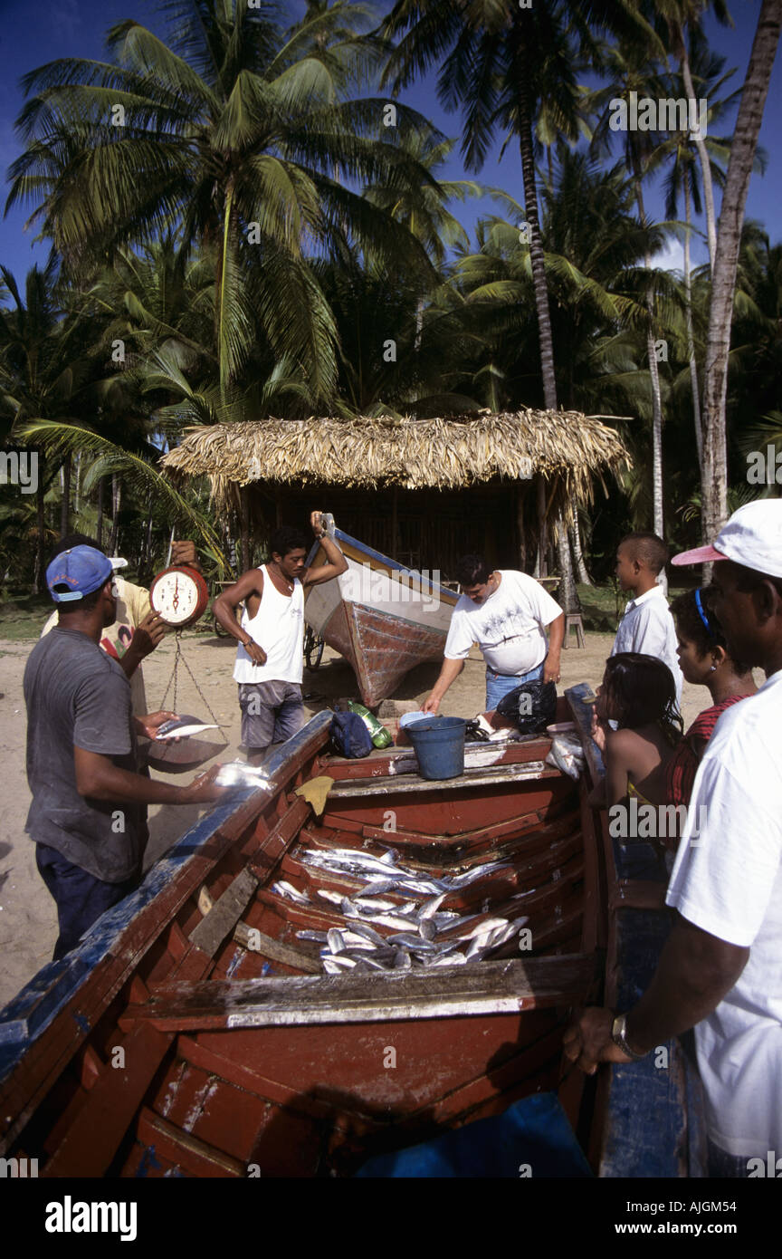Weighing the catch at Playa Medina, Paria Peninsular, Venezuela, South America. Stock Photo
