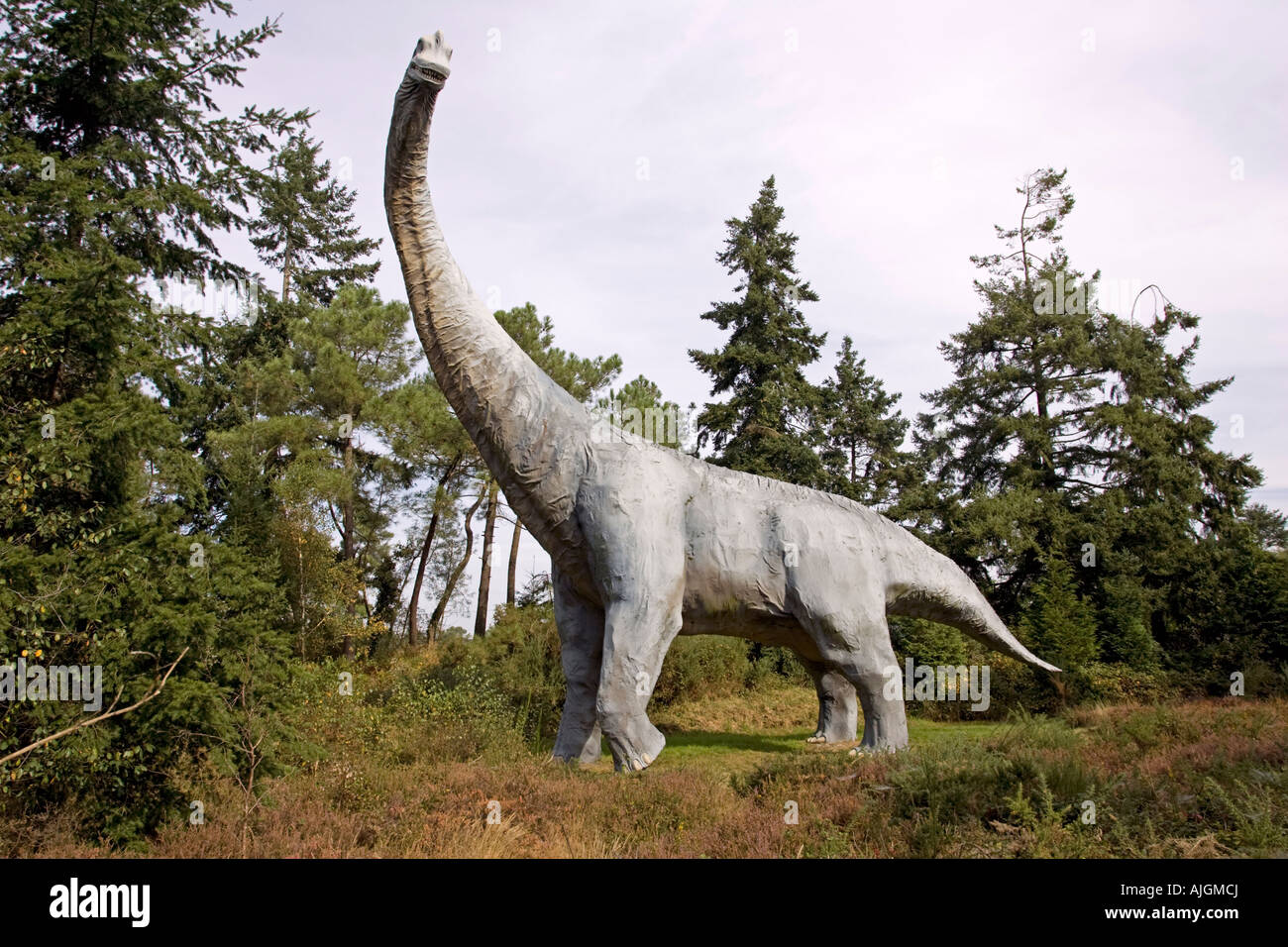 Diplodocus life reconstruction extinct herbivorous quadrupedal sauropod dinosaur late Jurassic France Stock Photo