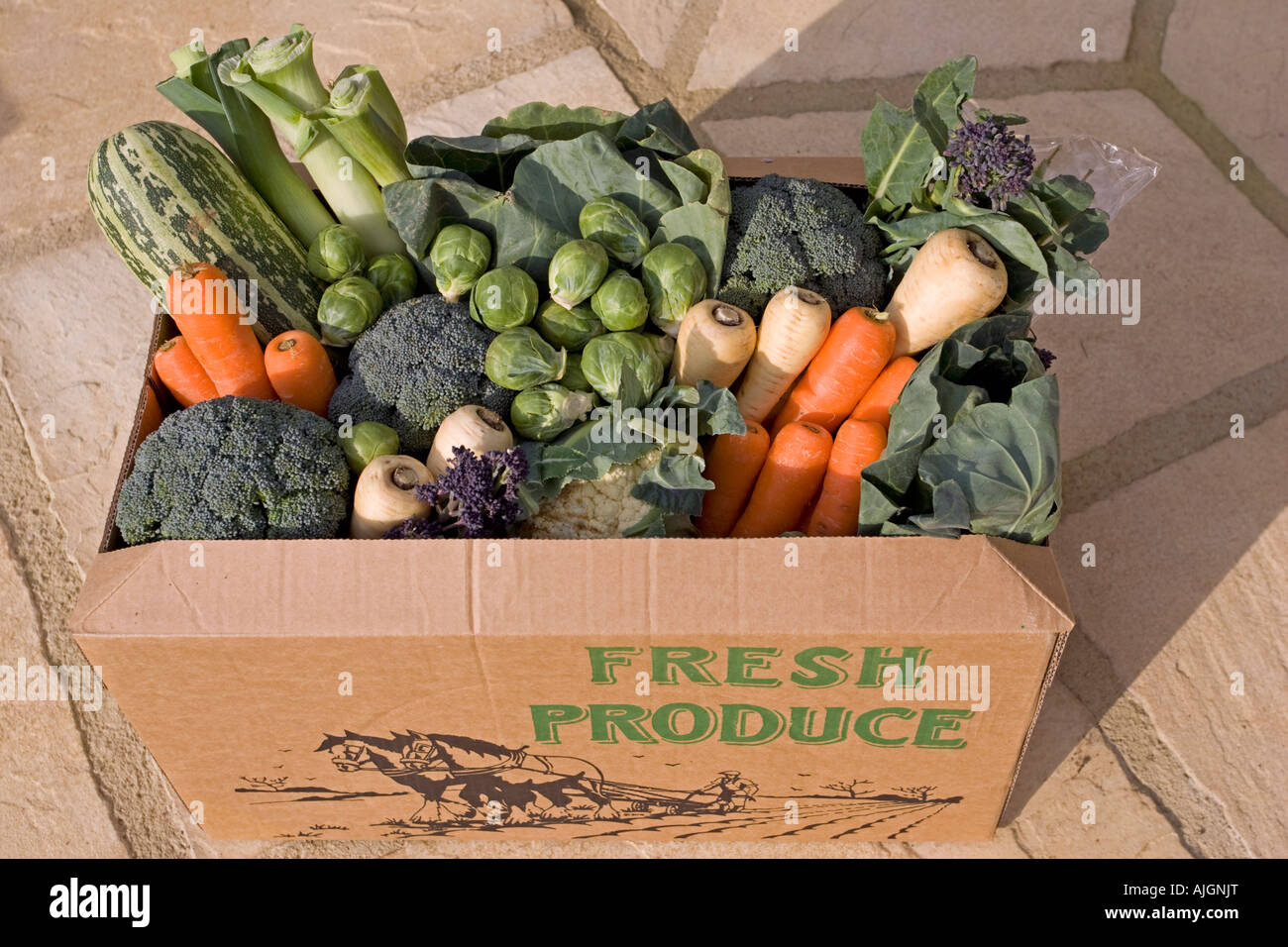 Cardboard box of fresh locally grown vegetables Cotswolds UK Stock