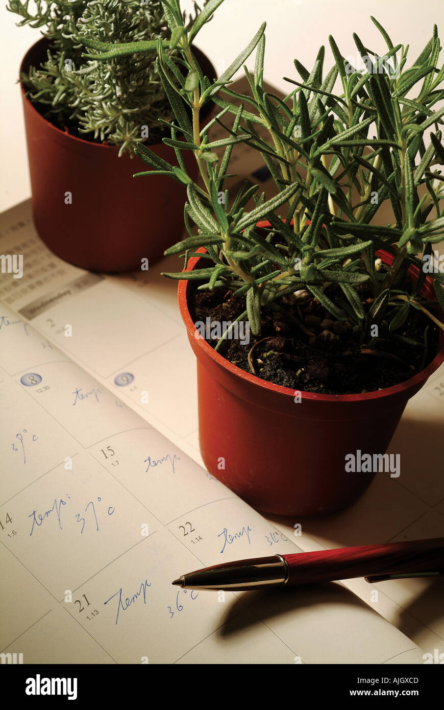 High angle view calendar hi-res stock photography and images - Alamy