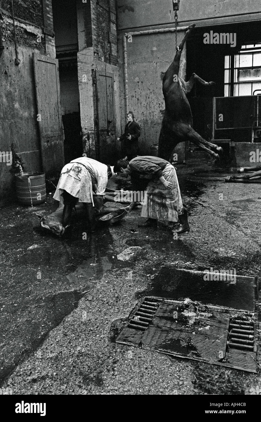 French slaughter hires stock photography and images Alamy