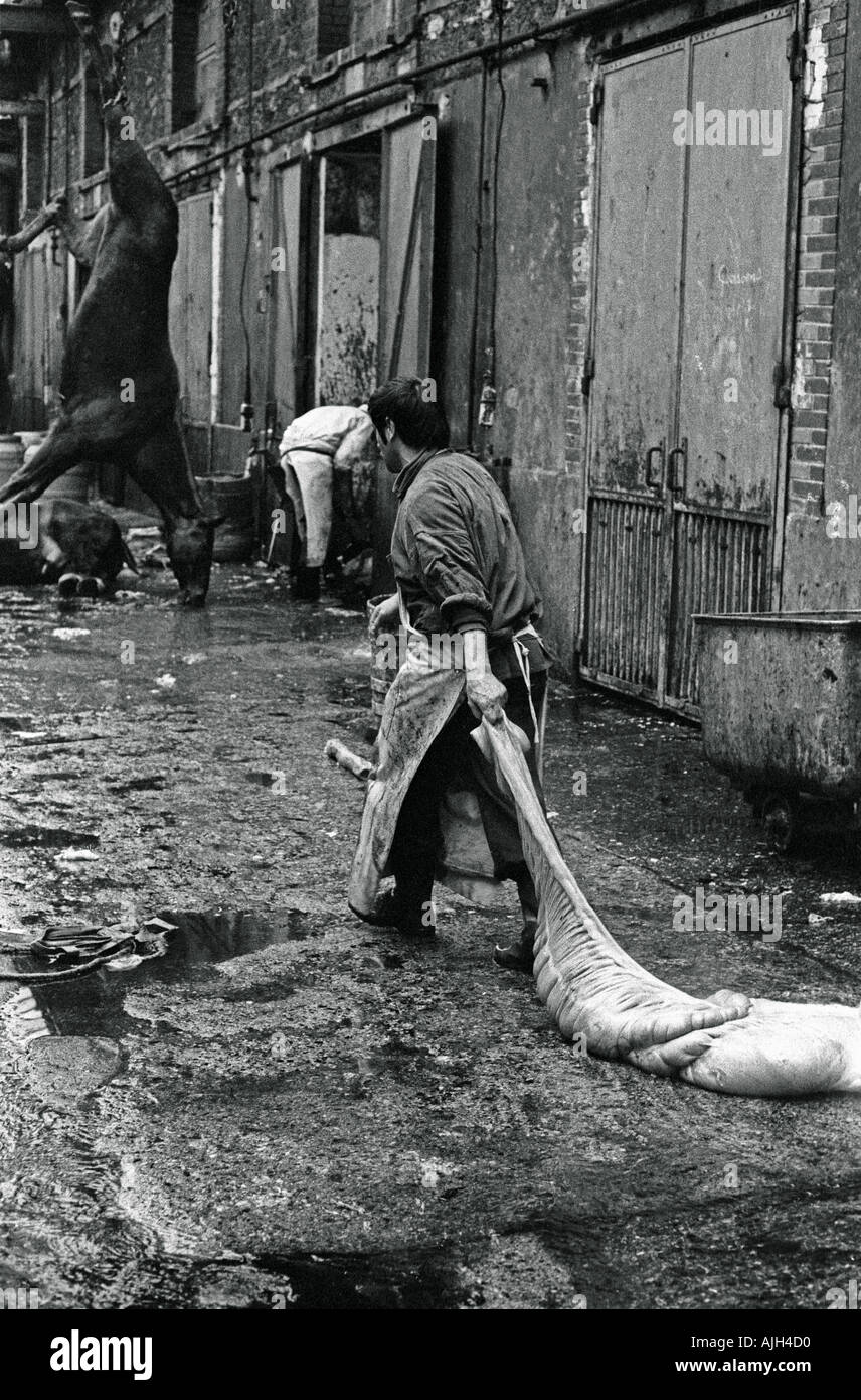FRANCE SLAUGHTERHOUSE PARIS VAUGIRARD IN 1976 Stock Photo Alamy