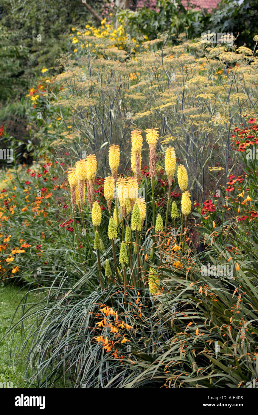 Summer colour flower border hi-res stock photography and images - Alamy