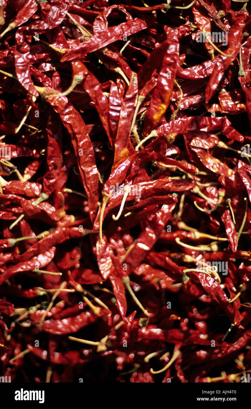 India red chillies hi-res stock photography and images - Alamy