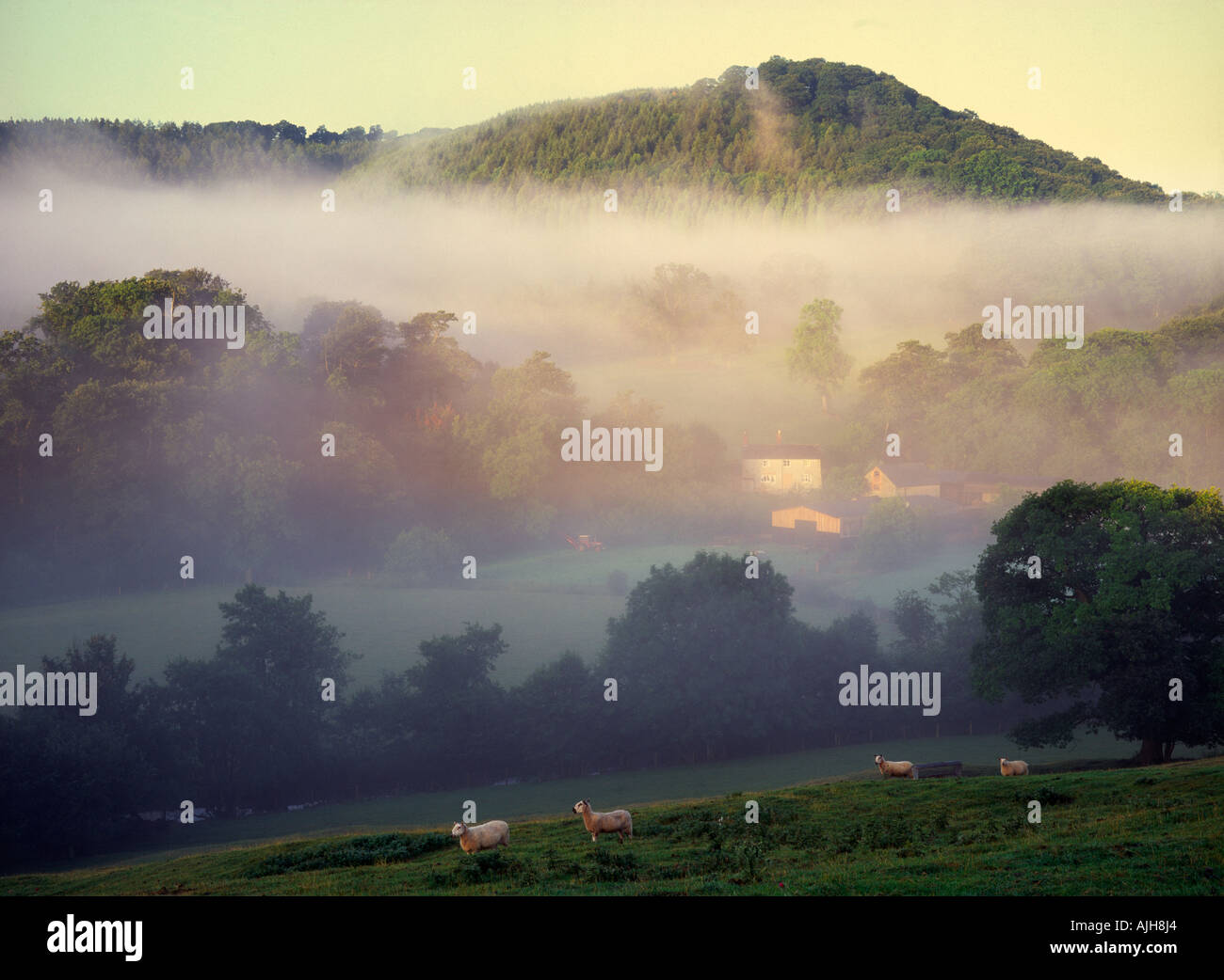 Plowden Hill & farm buildings with mist in the River Onny valley at Plowden, The Long Mynd, Shropshire, England Stock Photo