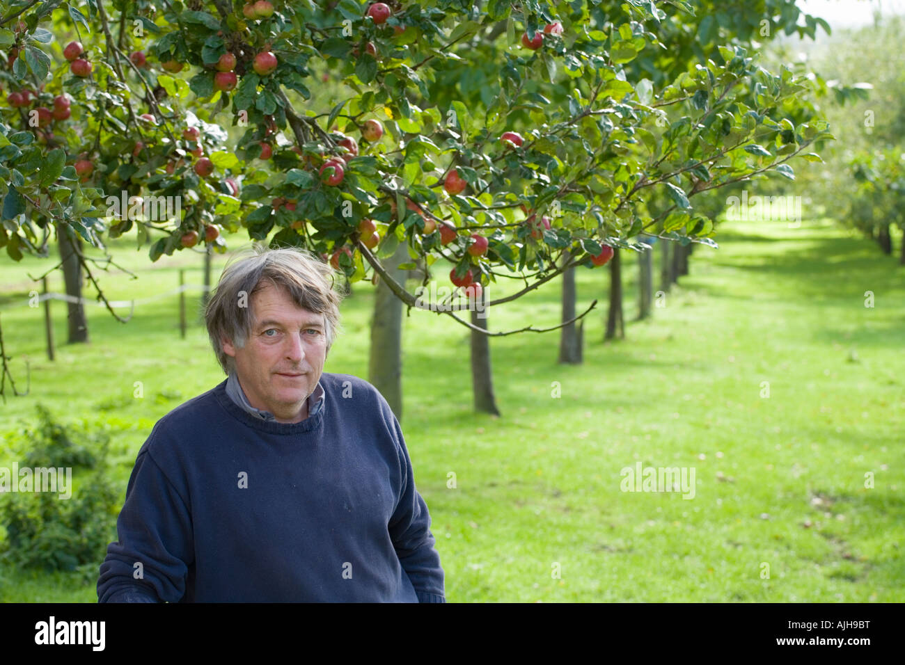 Burrow Hill Farm Somerset UK Julian Temperley Traditional cider apple