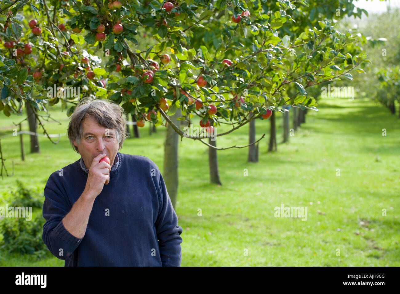 Burrow Hill Farm Somerset UK Julian Temperley Traditional cider apple