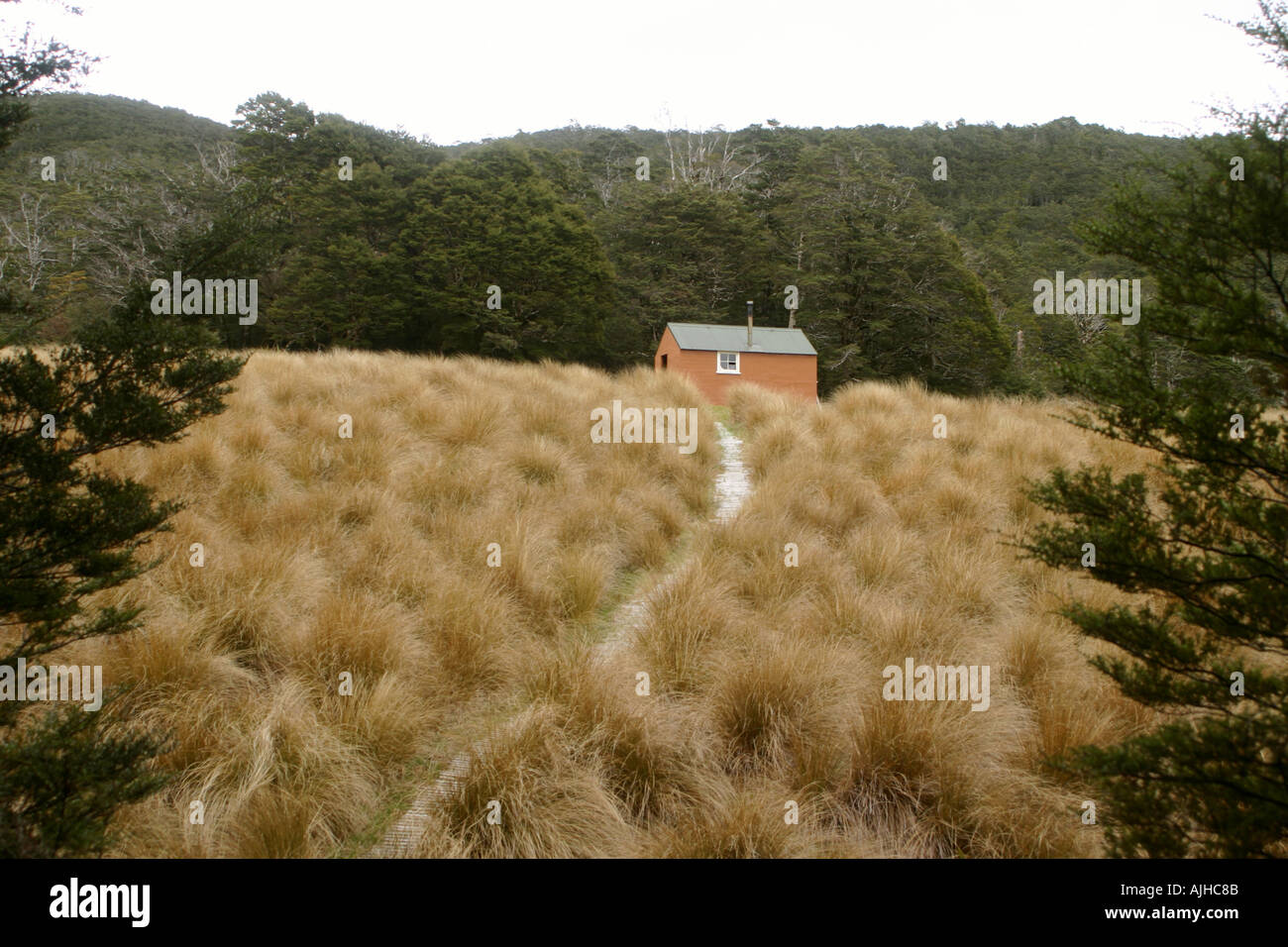 Speargrass Hut in golden tussock land Nelson Lakes National Park South Island New Zealand Stock Photo