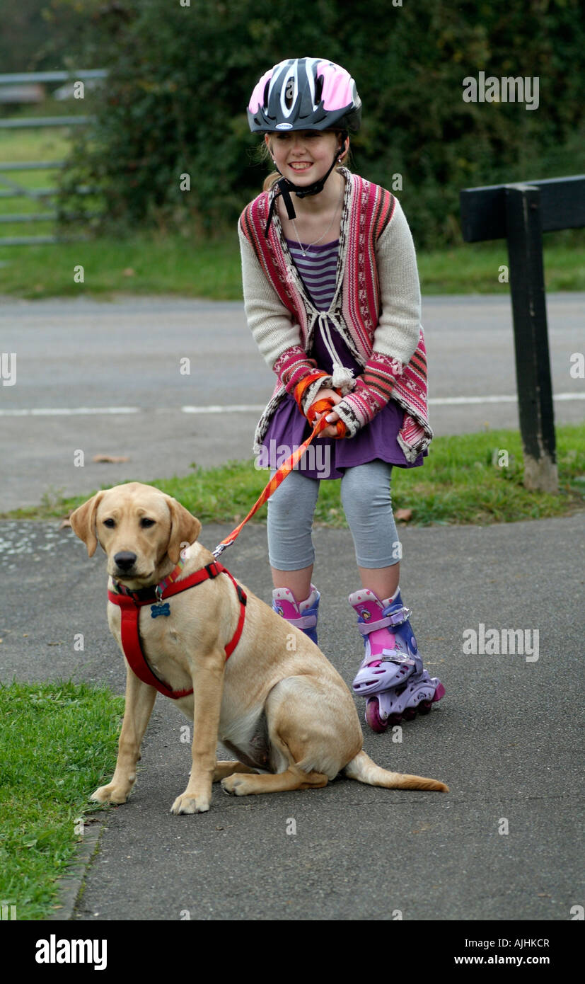 Girl on Rollerblades Walking a Pet Labrador Retriever Dog Waiting at