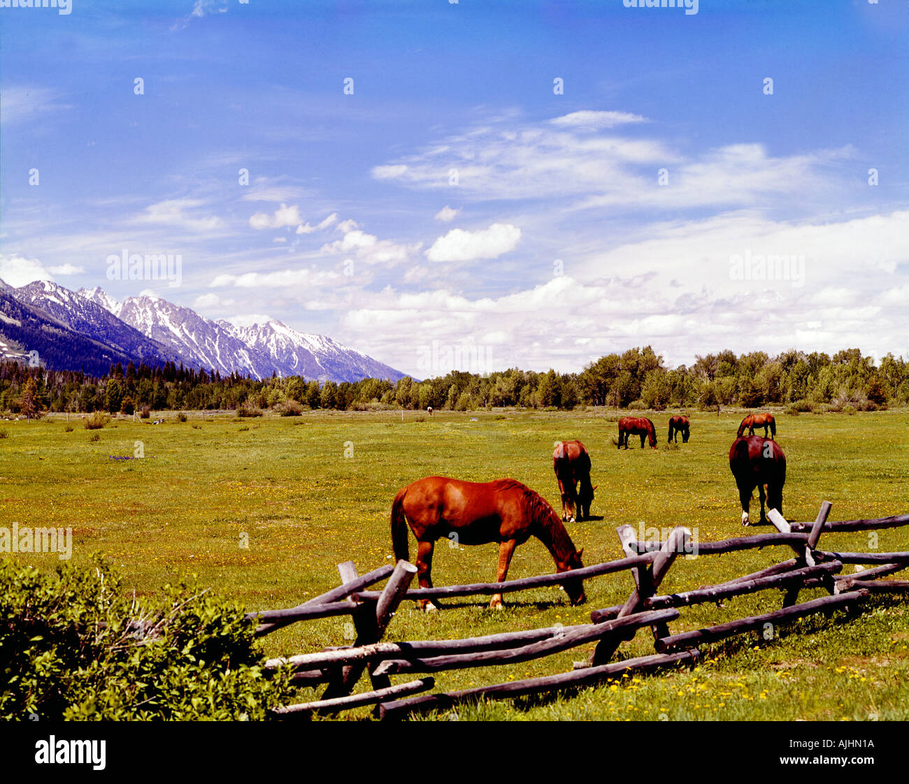 Sawbuck fence hires stock photography and images Alamy