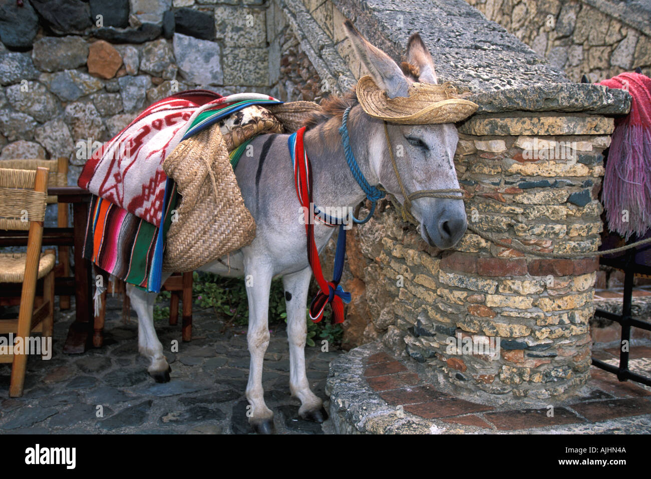 Dominican Republic Altos de Chavon Casa de Campo outdoor cafe donkey dressed up Stock Photo