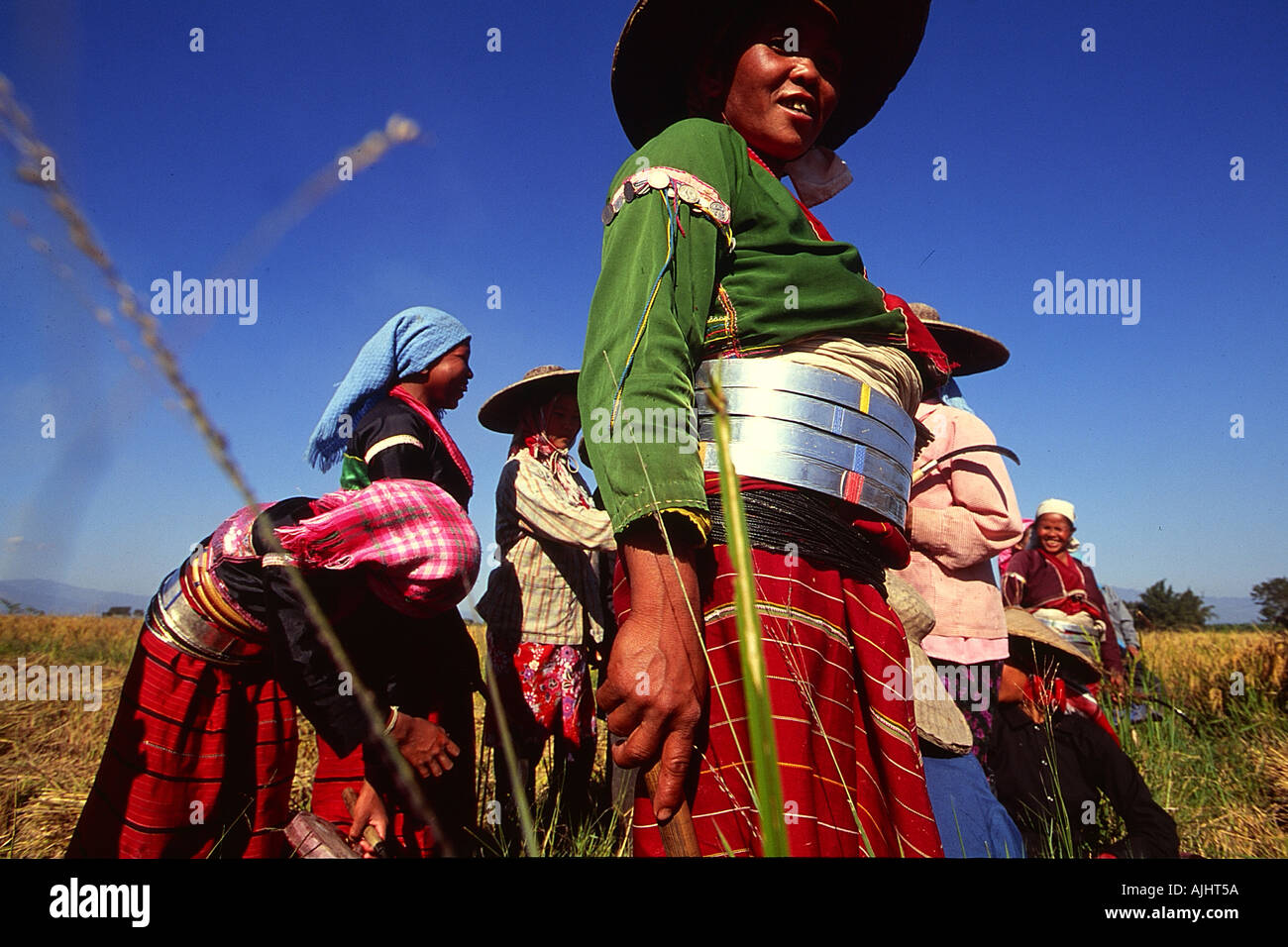 Near Kengtung the ethnic people of Palaung working in the field Stock Photo