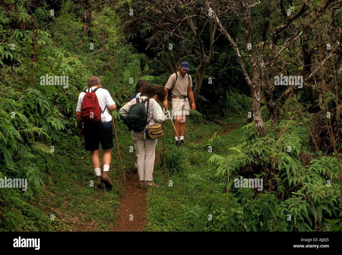 people, tourists, hiker, hikers, hiking trail, hiking, between Makamakaole Valley and Waihee Valley, West Maui Mountains, West Maui, Maui, Hawaii Stock Photo